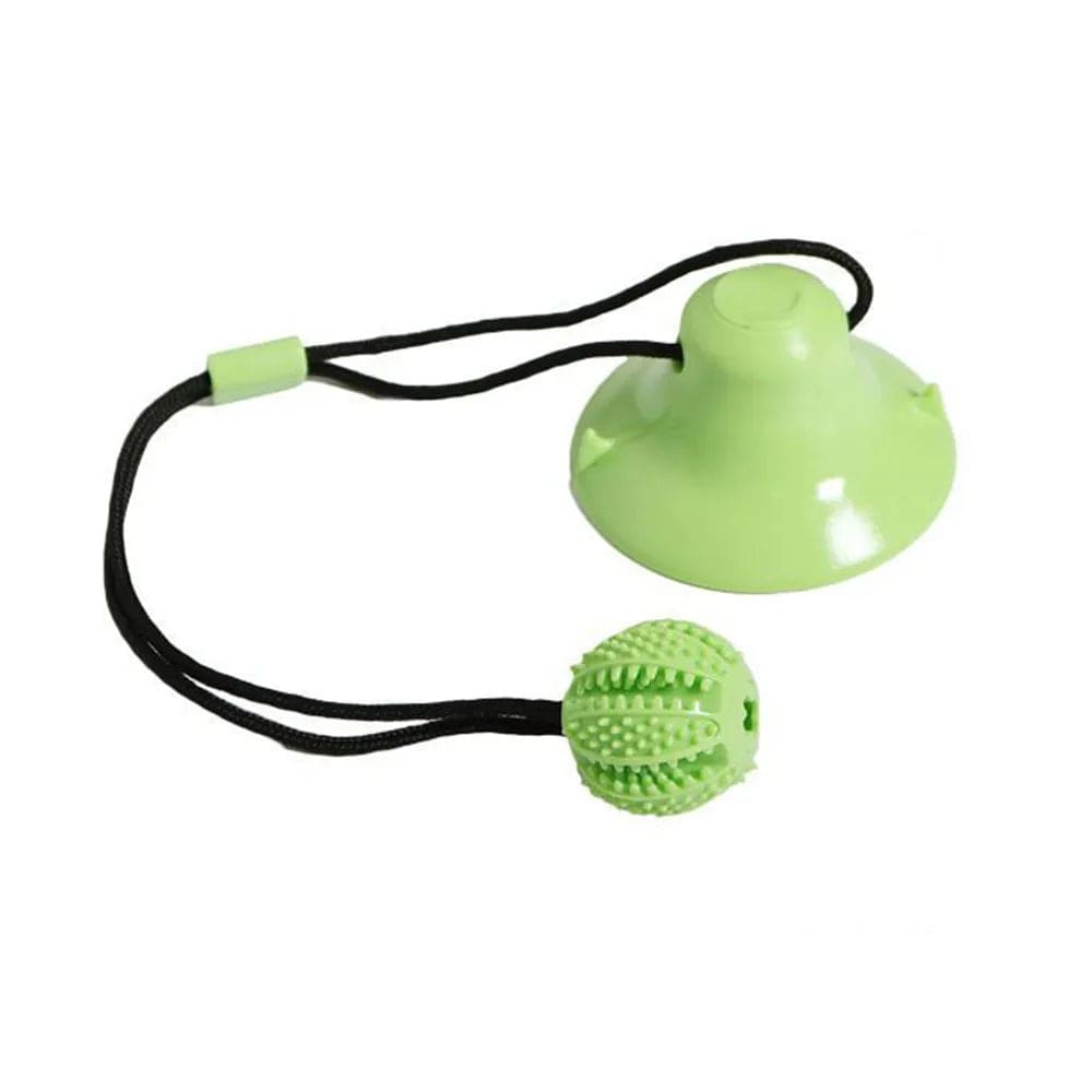 Dropship Pet Chewing Toys Dog Food Leaking Bite Resistant Ball Toy With  Suction Cup For Indoor Dogs to Sell Online at a Lower Price